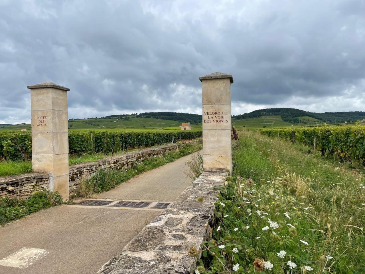 Le Jardin Des Verottes Beaune  Exterior photo