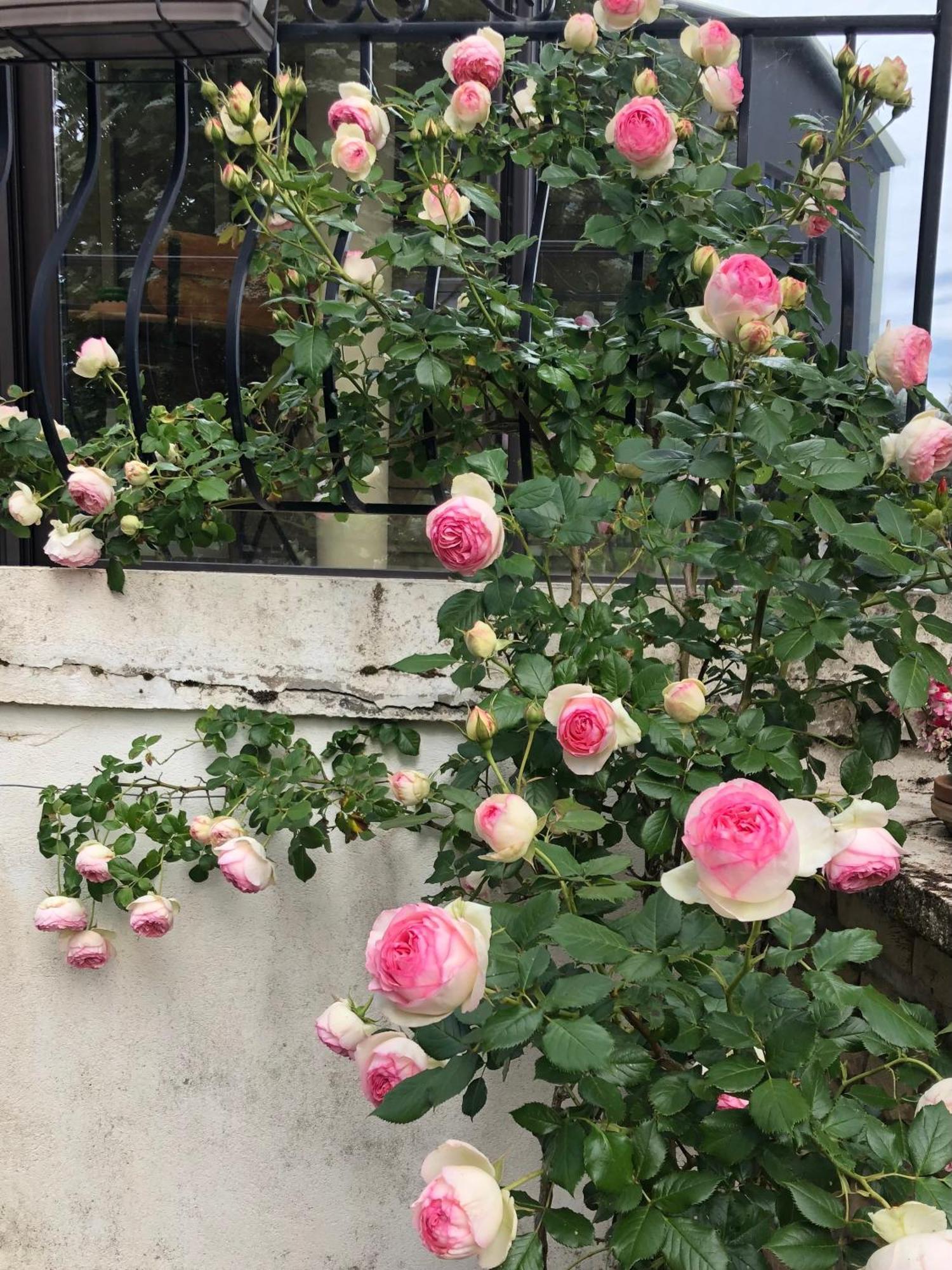 Le Jardin Des Verottes Beaune  Exterior photo
